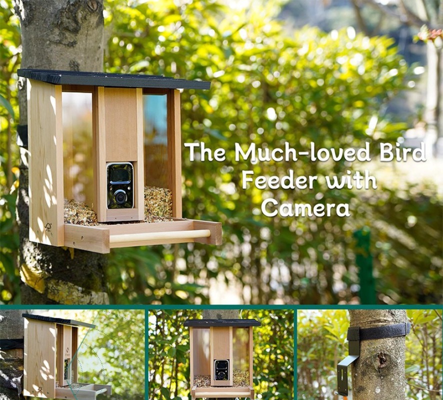 AI intelligent bird feeder wit - مراجعة Gardening Tools Definition وسعره