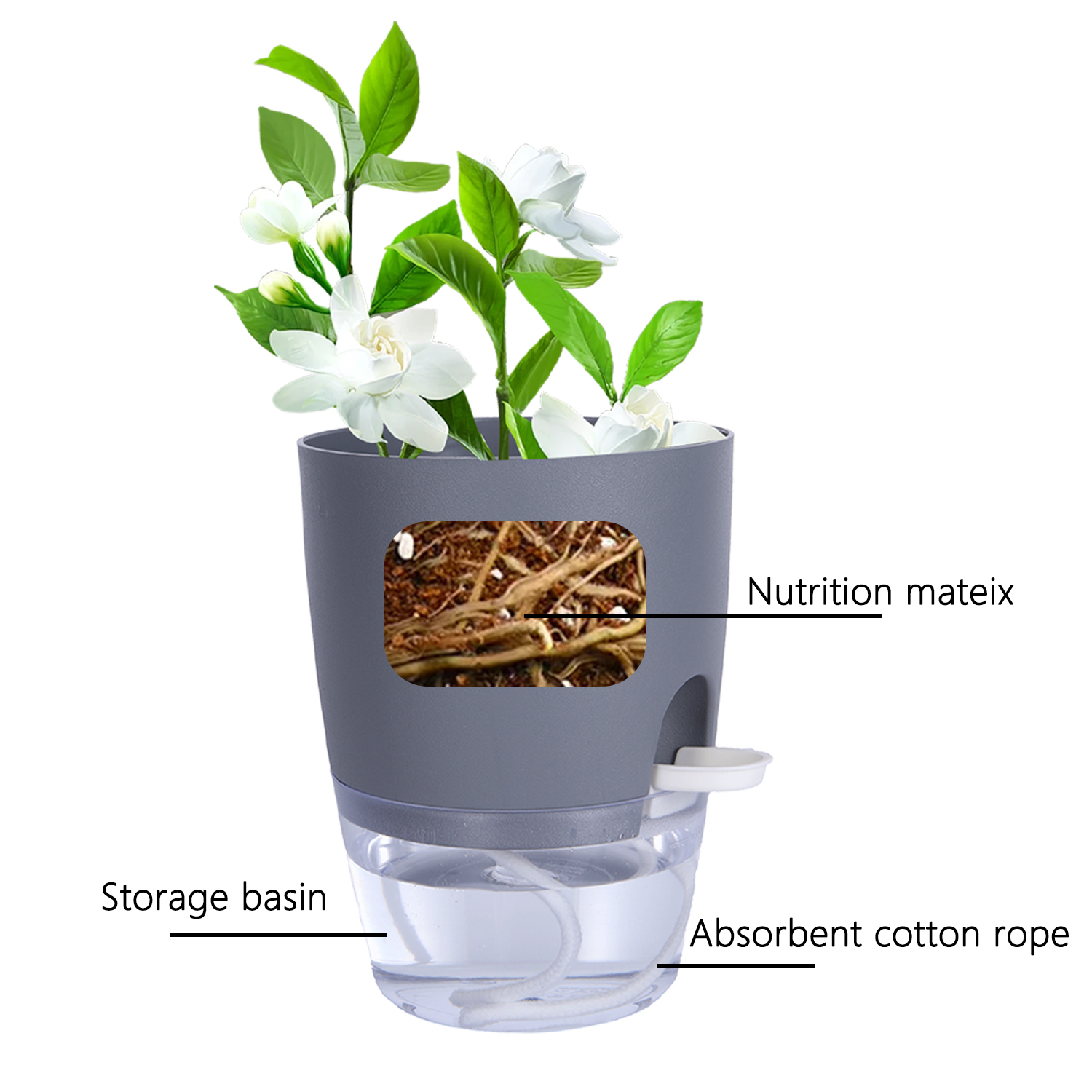 8.2/10.5/15.3/23.5cm Hydroponi - مراجعة Gardening Tools Brands وسعره