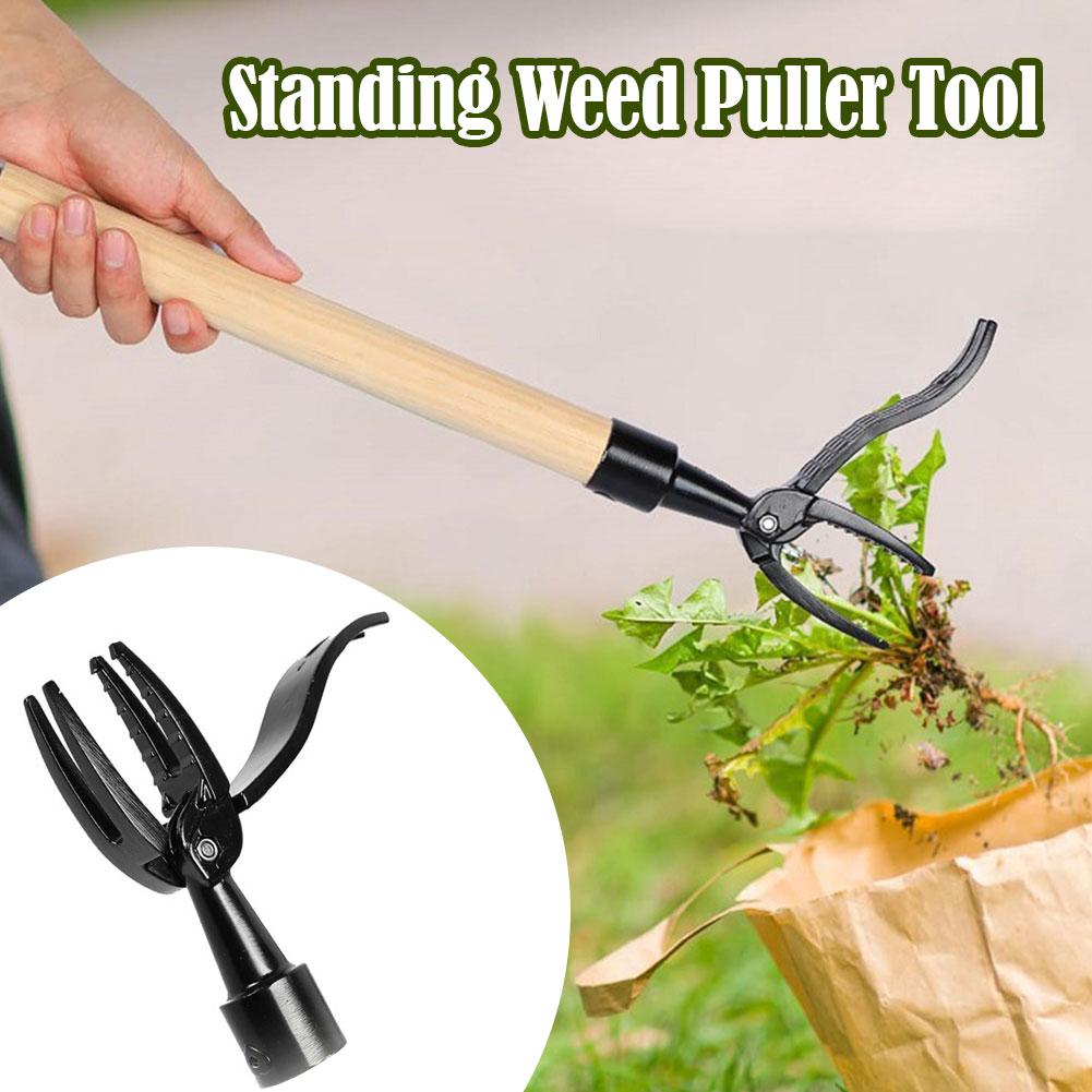 Weed Puller Claw Tool Engineer - مراجعة Gardening Tools To Remove Grass وسعره