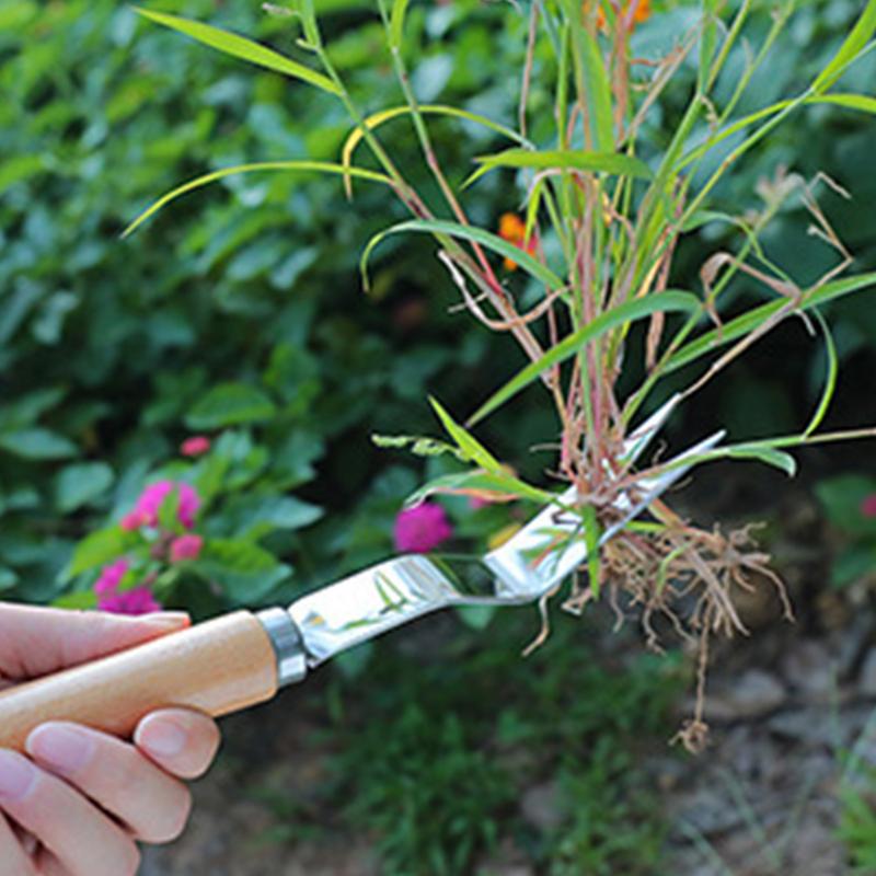 Grass Remover Multifunctional  - مراجعة Gardening Tools To Remove Grass وسعره