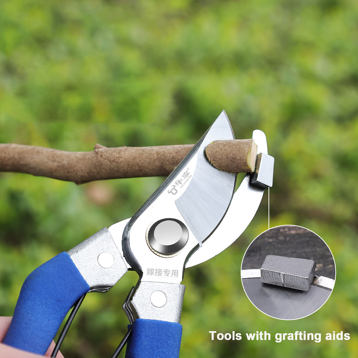 New Garden Scissors Profession - مراجعة Gardening Tools For Beginners وسعره