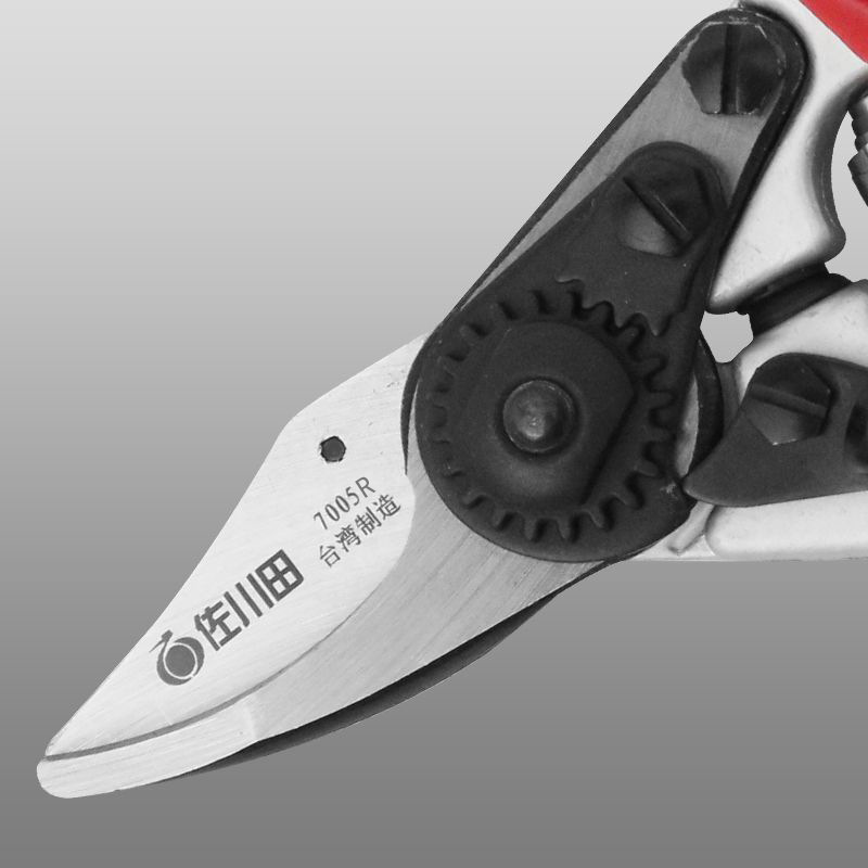 Manual Fruit Tree Pruning Scis - مراجعة Gardening Tools Sharp وسعره
