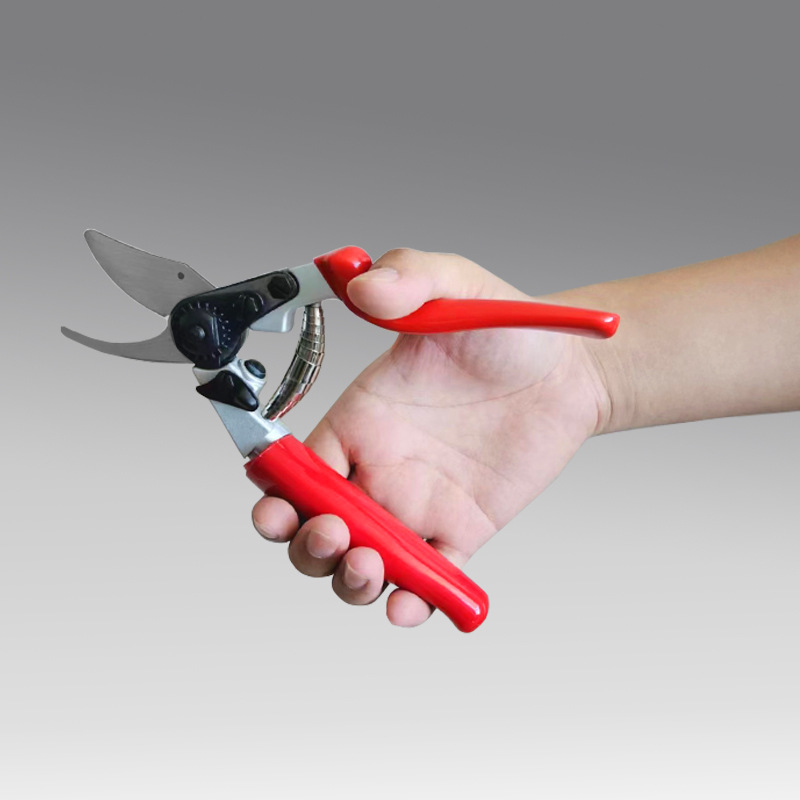 Manual Fruit Tree Pruning Scis - مراجعة Gardening Tools Sharp وسعره