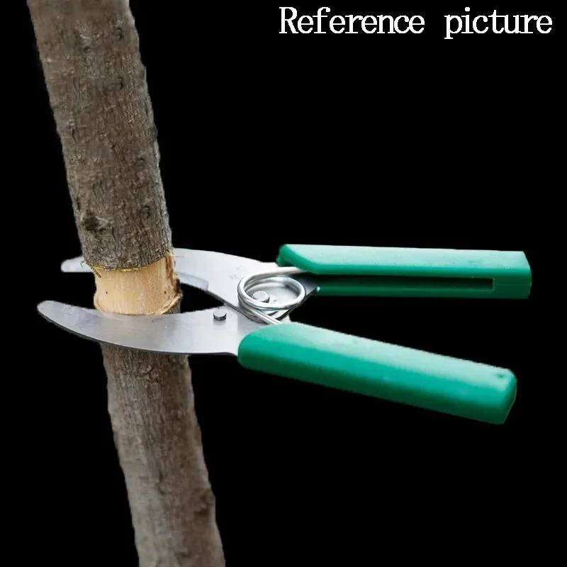 Sharp Stripping Peeling Knife  - مراجعة Gardening Tools Sharp وسعره