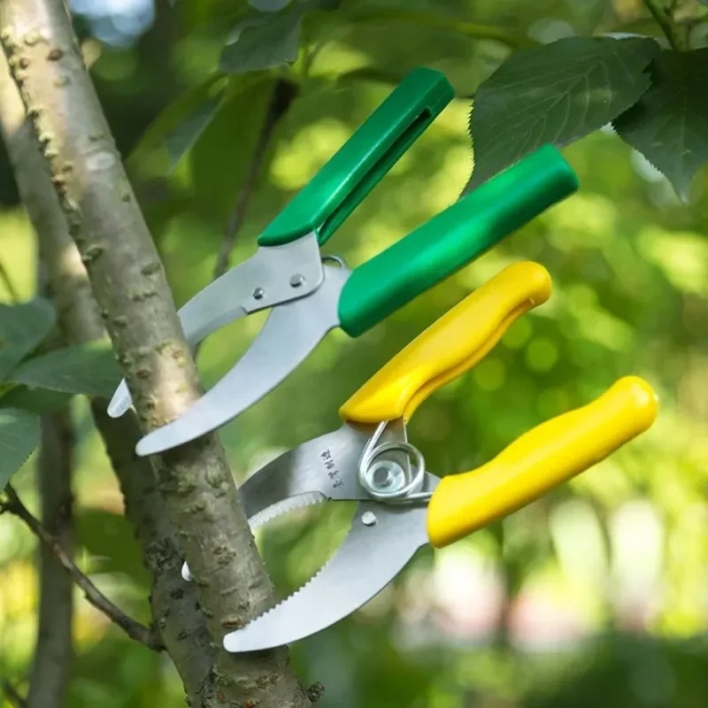 Sharp Stripping Peeling Knife  - مراجعة Gardening Tools Sharp وسعره