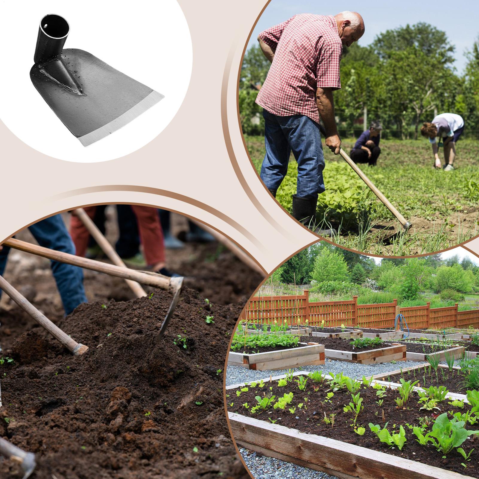 Manganese Steel Small Hoe for  - مراجعة Gardening Tools On Sale وسعره