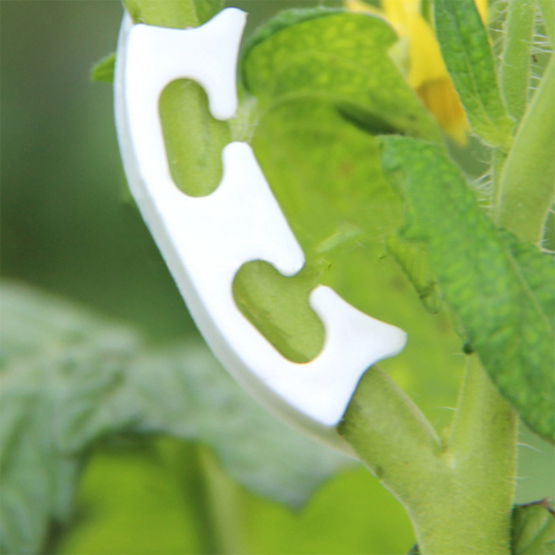 50/100pcs Botany-stem Vine Str - مراجعة Gardening Tools Bundle وسعره