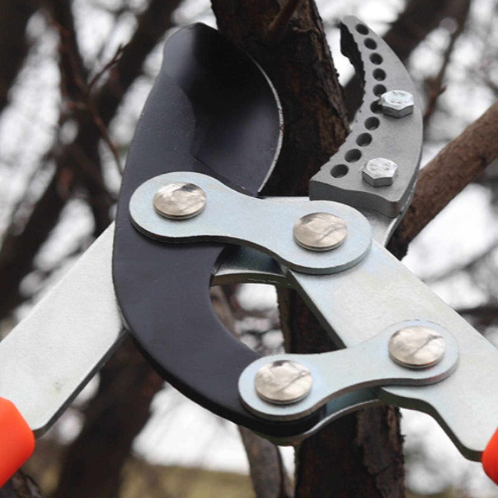Telescopic Branch Pruners Shar - مراجعة Gardening Tools وسعره