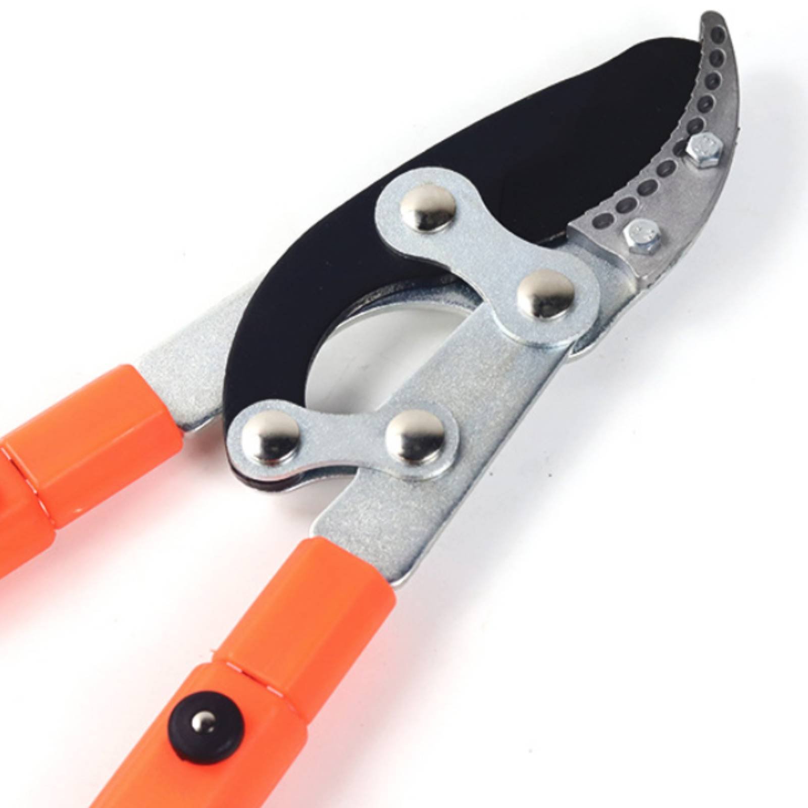 Telescopic Branch Pruners Shar - مراجعة Gardening Tools وسعره