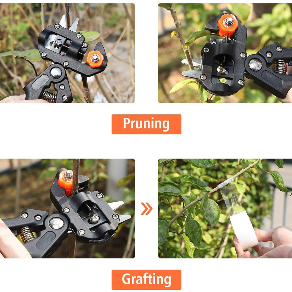 Grafting Pruner Scissor Garden - مراجعة Gardening Tools On Sale وسعره