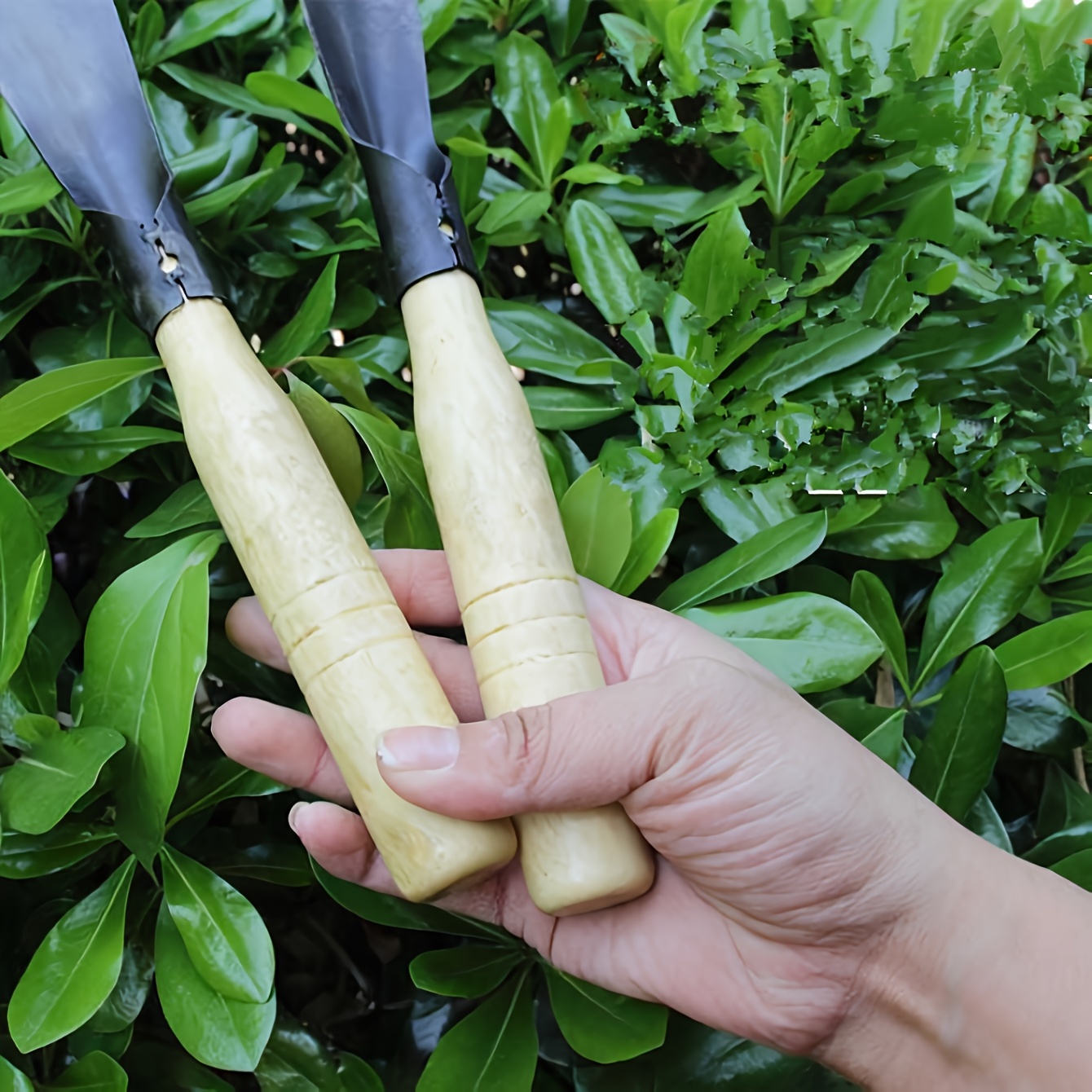 Practical manganese steel gard - مراجعة Gardening Tools You Must Have وسعره