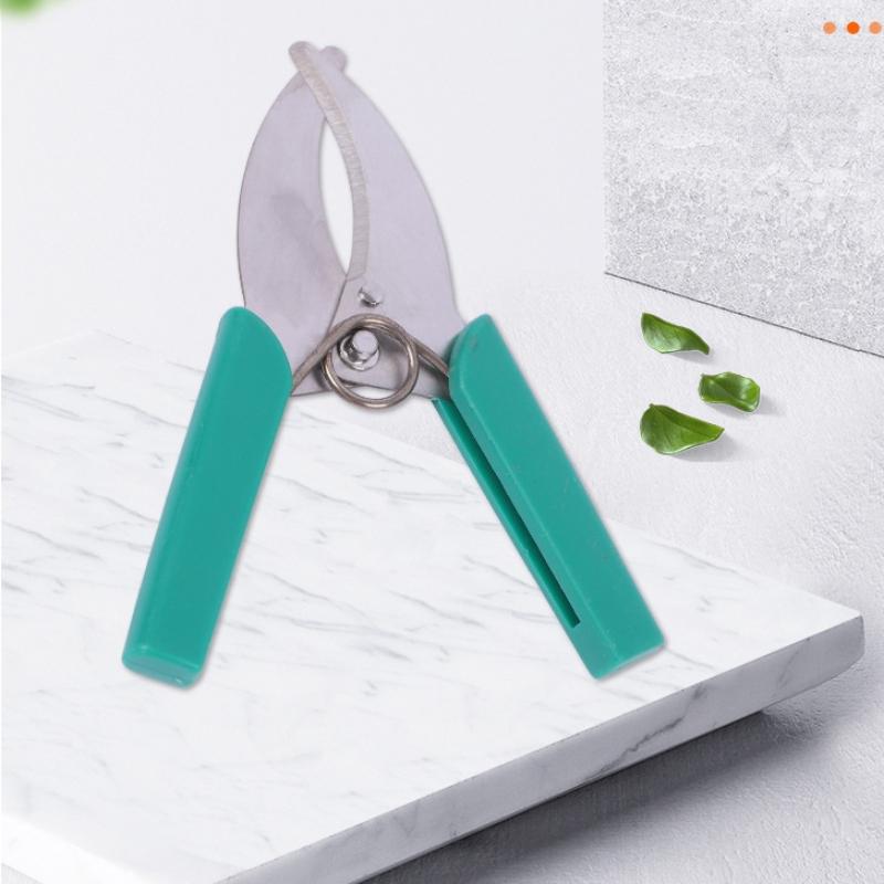 1PC Garden Tree Branches Ring  - مراجعة Gardening Tools Sharp وسعره