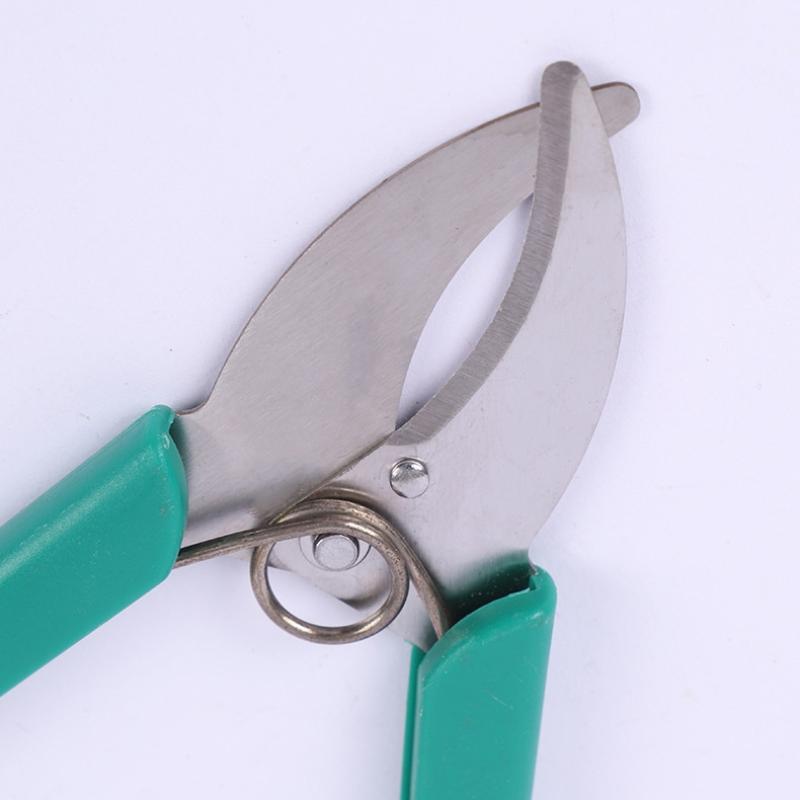 1PC Garden Tree Branches Ring  - مراجعة Gardening Tools Sharp وسعره