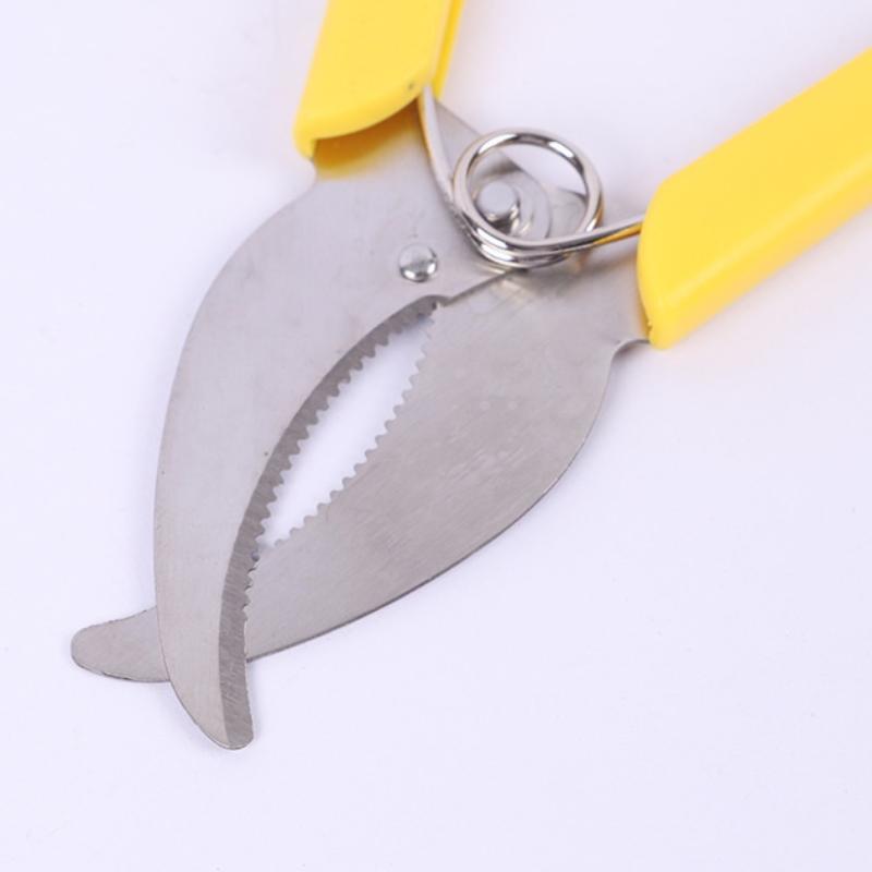 1PC Garden Tree Branches Ring  - مراجعة Gardening Tools Sharp وسعره