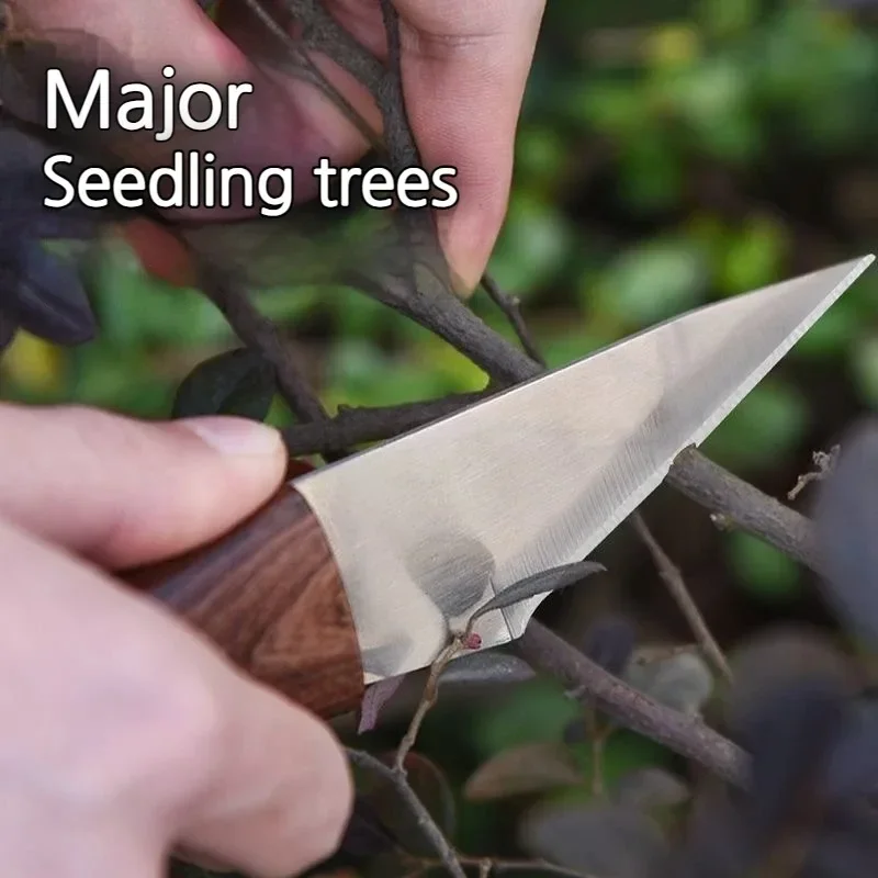 Wooden Handle Grafting Knife w - مراجعة Gardening Tools On Sale وسعره