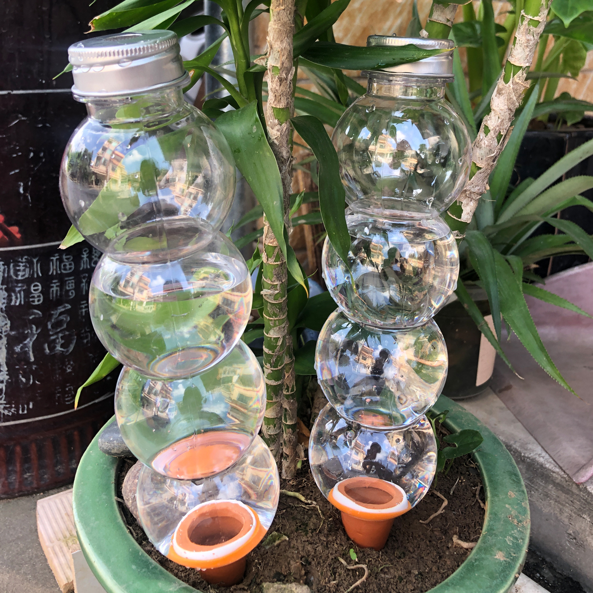 2 Pcs Automatic Plant Watering - مراجعة Gardening Tools And Equipment وسعره