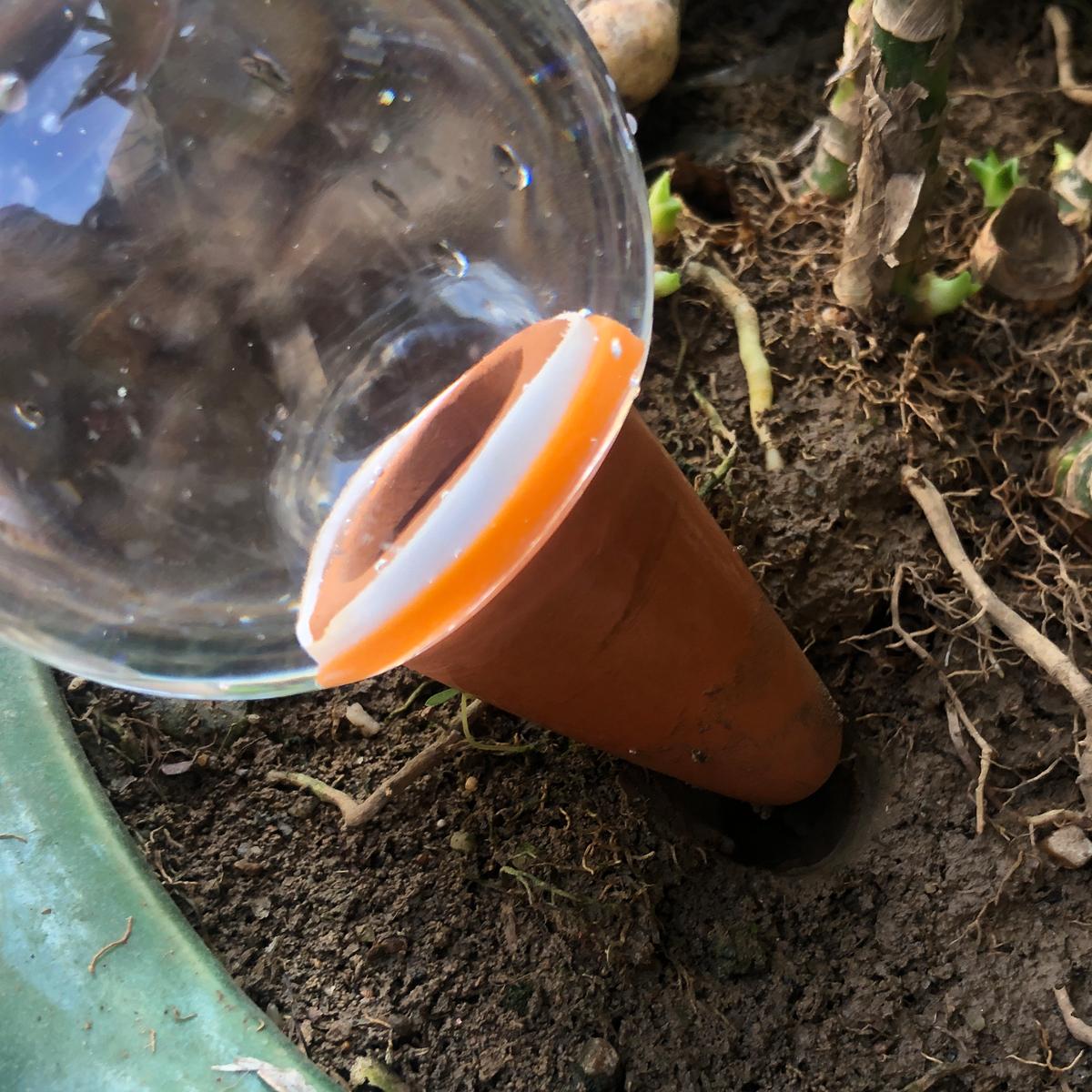 2 Pcs Automatic Plant Watering - مراجعة Gardening Tools And Equipment وسعره