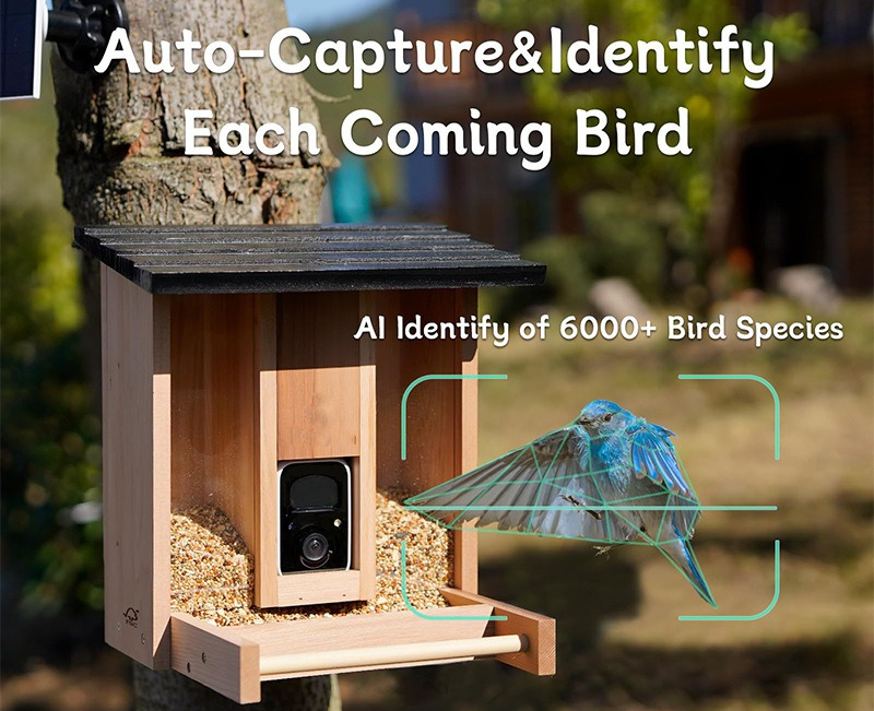 Bamboo wood intelligent bird f - مراجعة Gardening Tools Definition وسعره