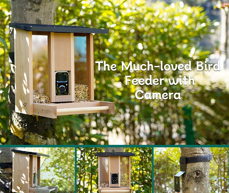 Bamboo wood intelligent bird f - مراجعة Gardening Tools Definition وسعره