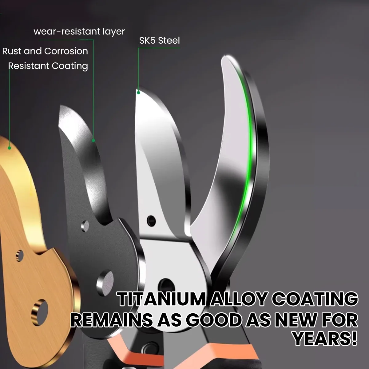 AIRAJ 8.5 Inch Pruner Shears S - مراجعة Gardening Tools On Sale وسعره
