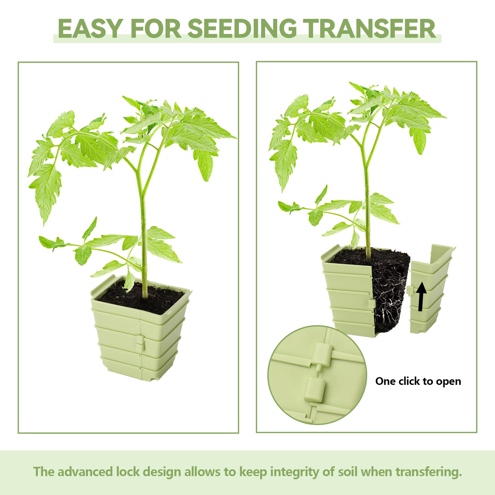 Side-Open Seed Starter Tray 8- - مراجعة Seed Starter Trays وسعره