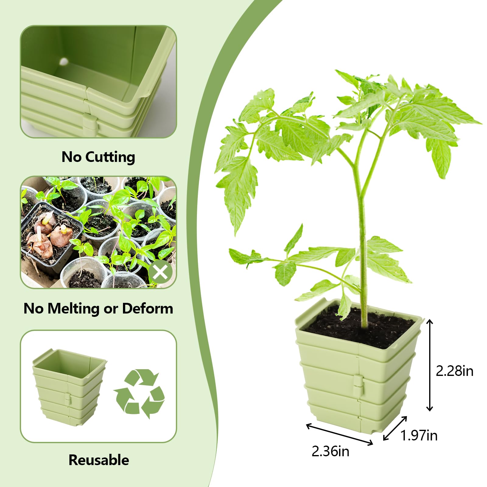 Side-Open Seed Starter Tray 8- - مراجعة Seed Starter Trays وسعره
