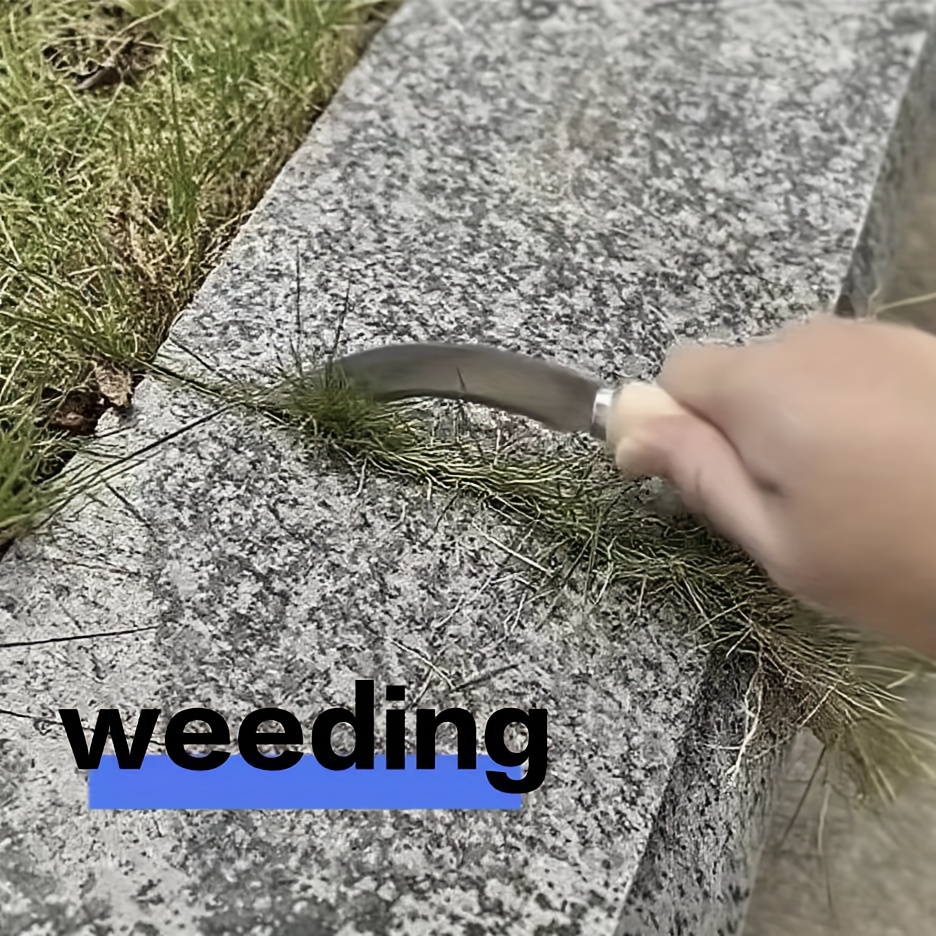 Curved Stainless Steel tool wi - مراجعة Gardening Tools On Sale وسعره