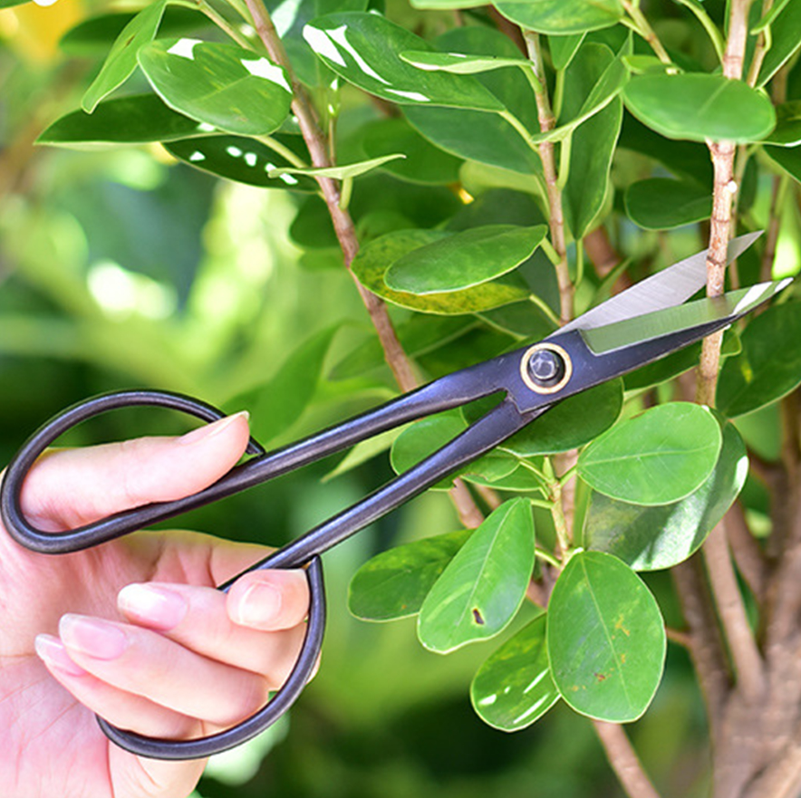 20.5cm Beginner Bonsai Tool Lo - مراجعة Gardening Tools For Beginners وسعره