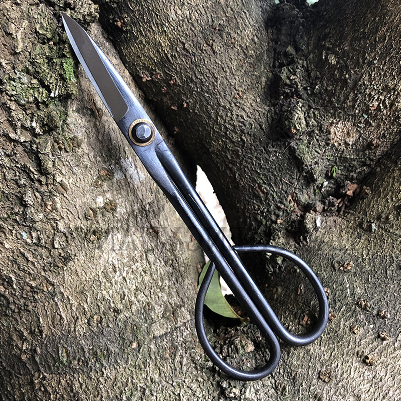 20.5cm Beginner Bonsai Tool Lo - مراجعة Gardening Tools For Beginners وسعره