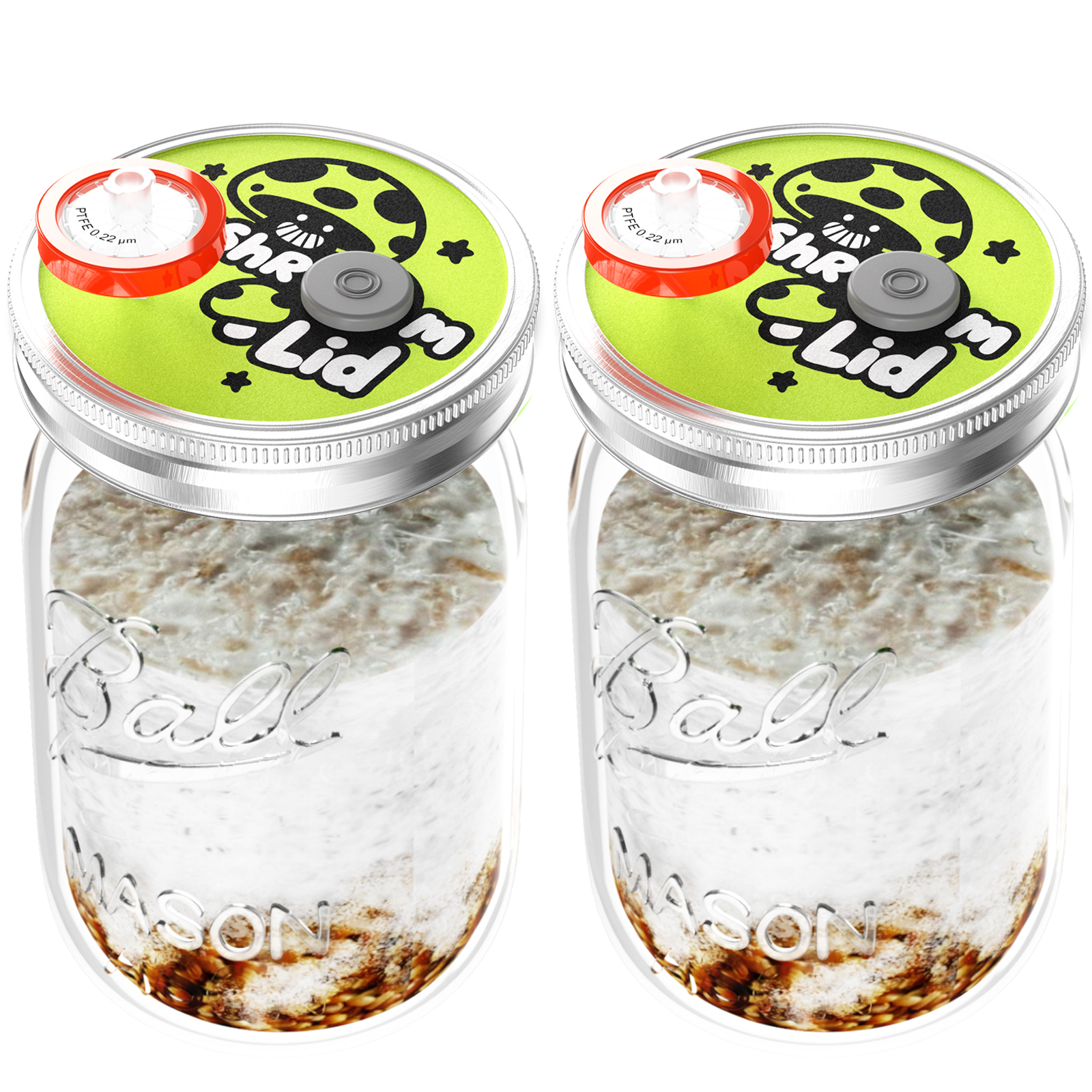 Mushroom Cultivation Kit , 500 - مراجعة Gardening Tools Brands وسعره