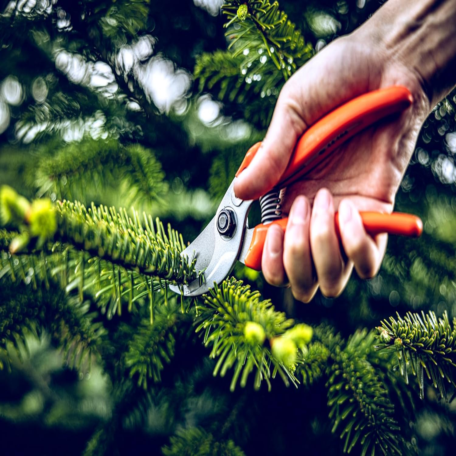 Versatile, Durable, and Precis - مراجعة Gardening Tools You Must Have وسعره