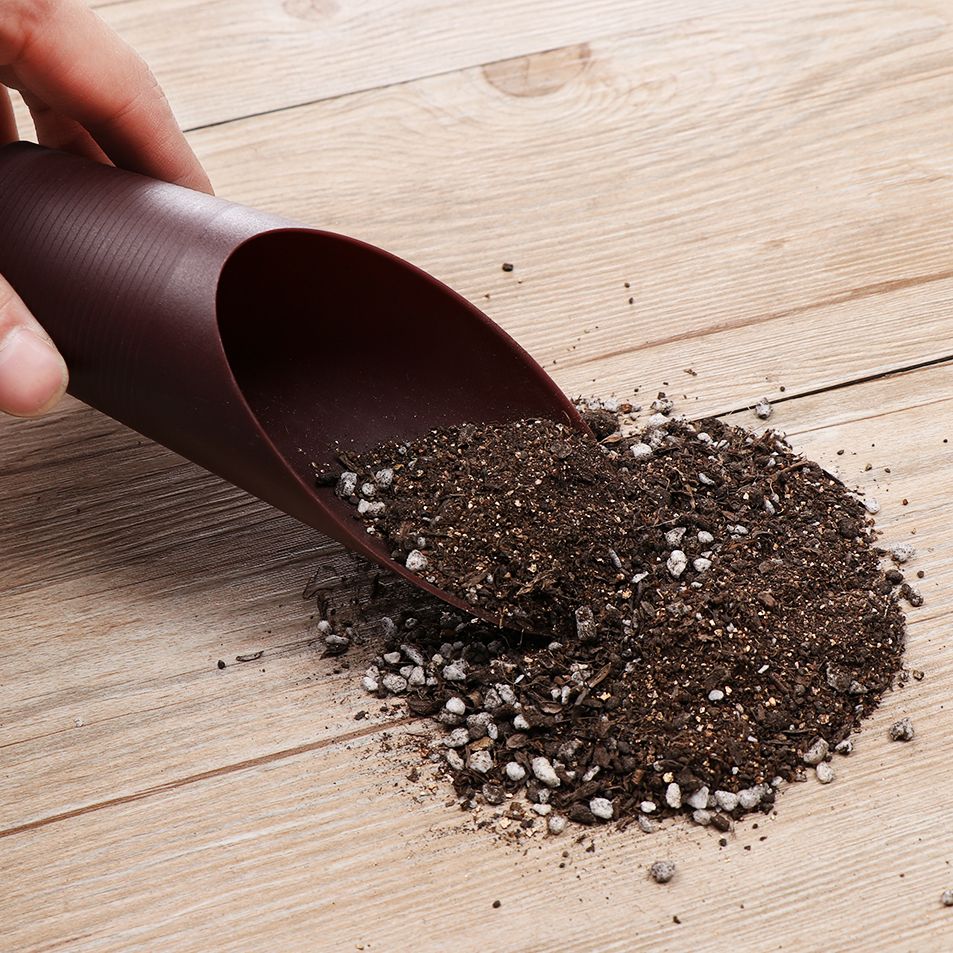 1PC Plastic Soil Shovel Cup Fo - مراجعة Gardening Tools Brands وسعره