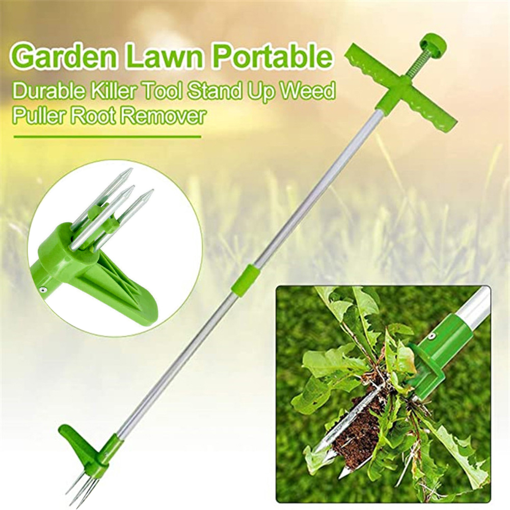 Long Handle  Remover Garden La - مراجعة Gardening Tools To Remove Grass وسعره